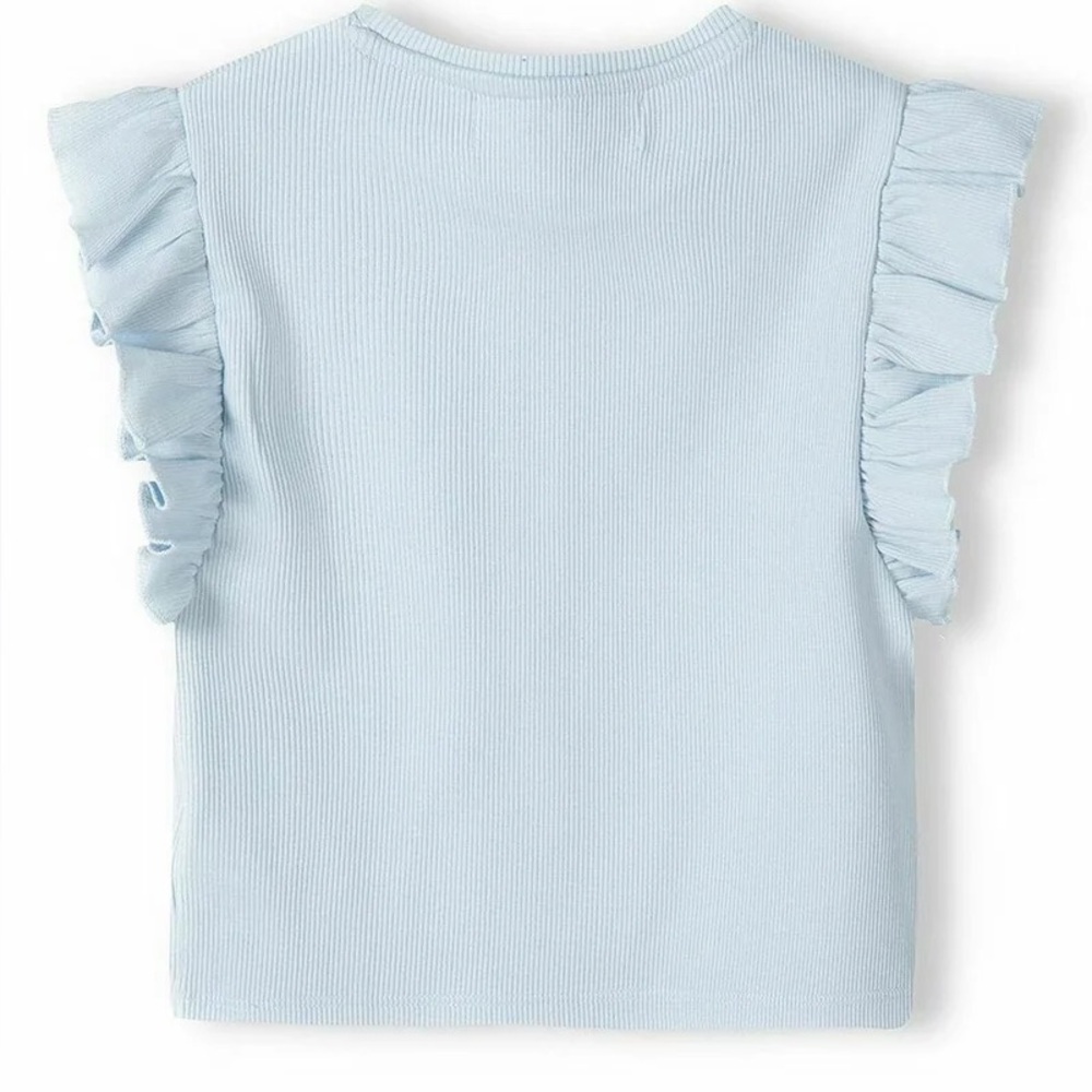 Zara Sky Blue Ruffled Sleeve Top